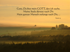 Gott, du bist